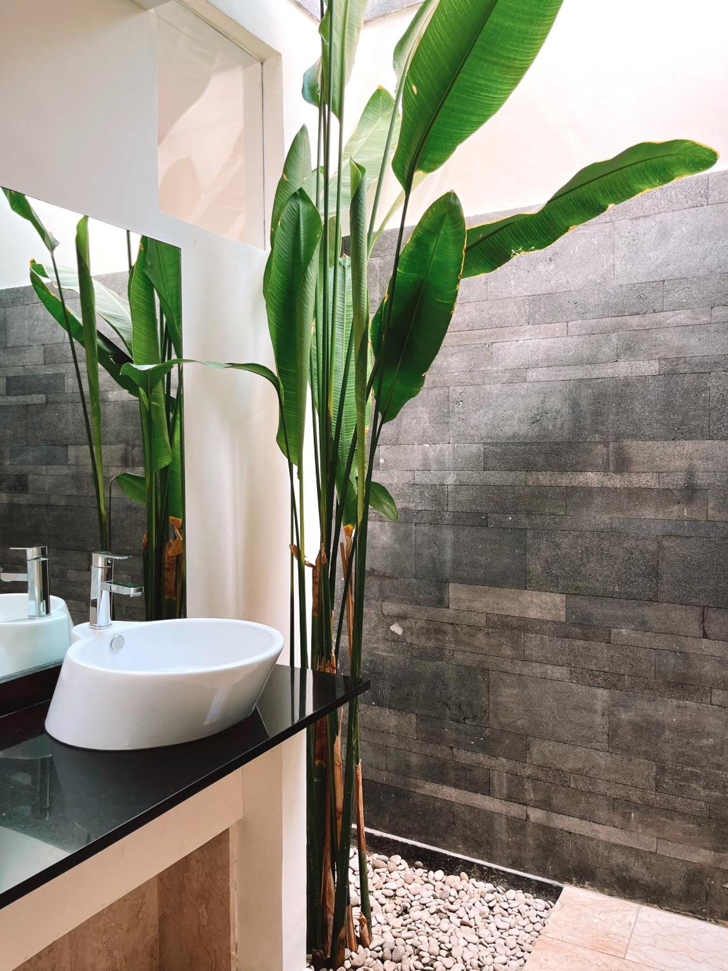 Aster Villa Seminyak Екстериор снимка